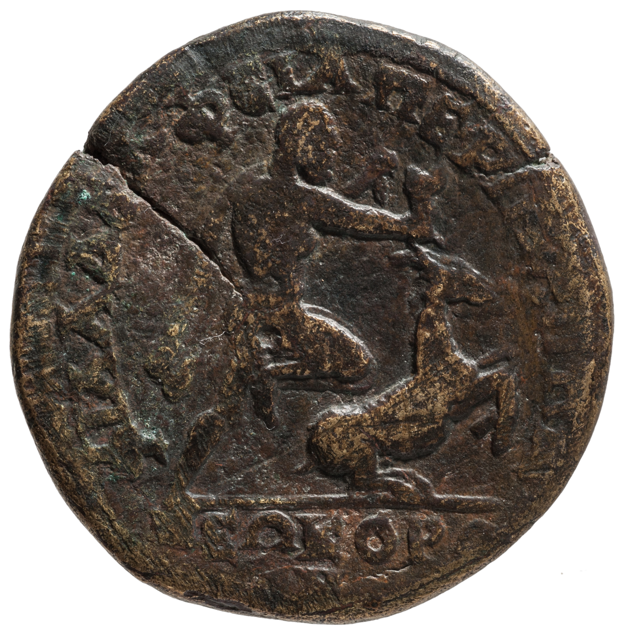 reverse CN Type cn.perinthus.1_ed.202