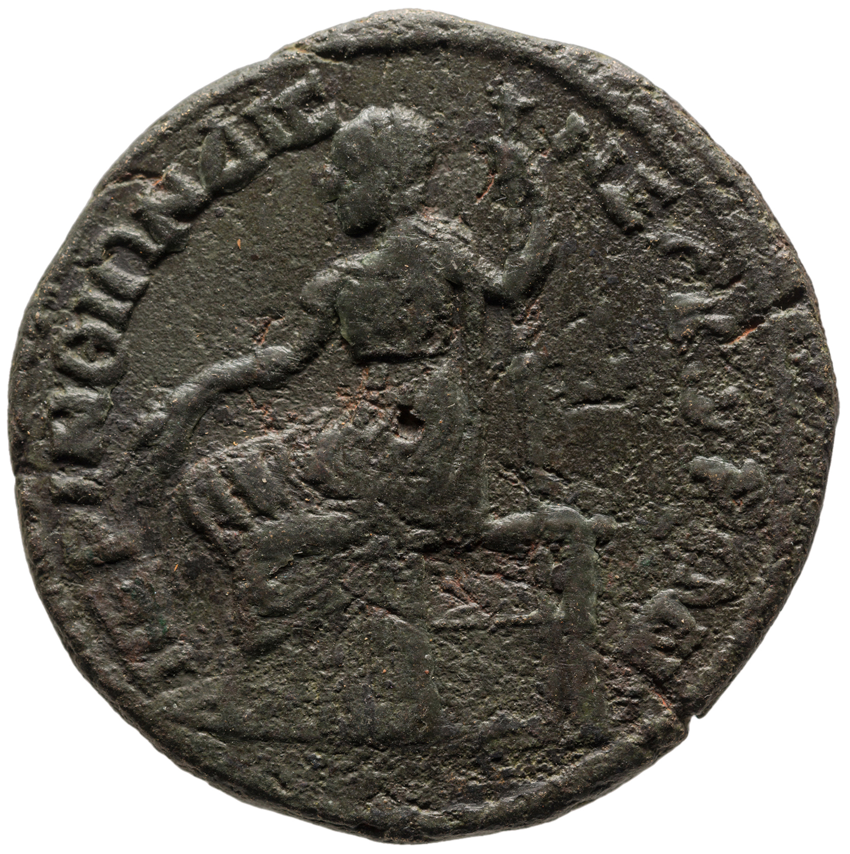 reverse CN Type cn.perinthus.1_ed.500