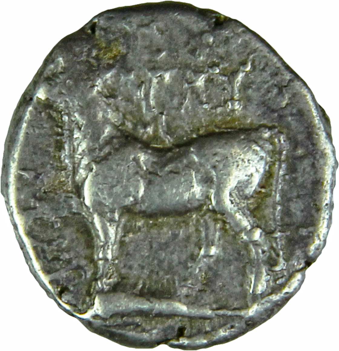 CN Type cn.byzantium.1_ed.41, аверс, cn-coins