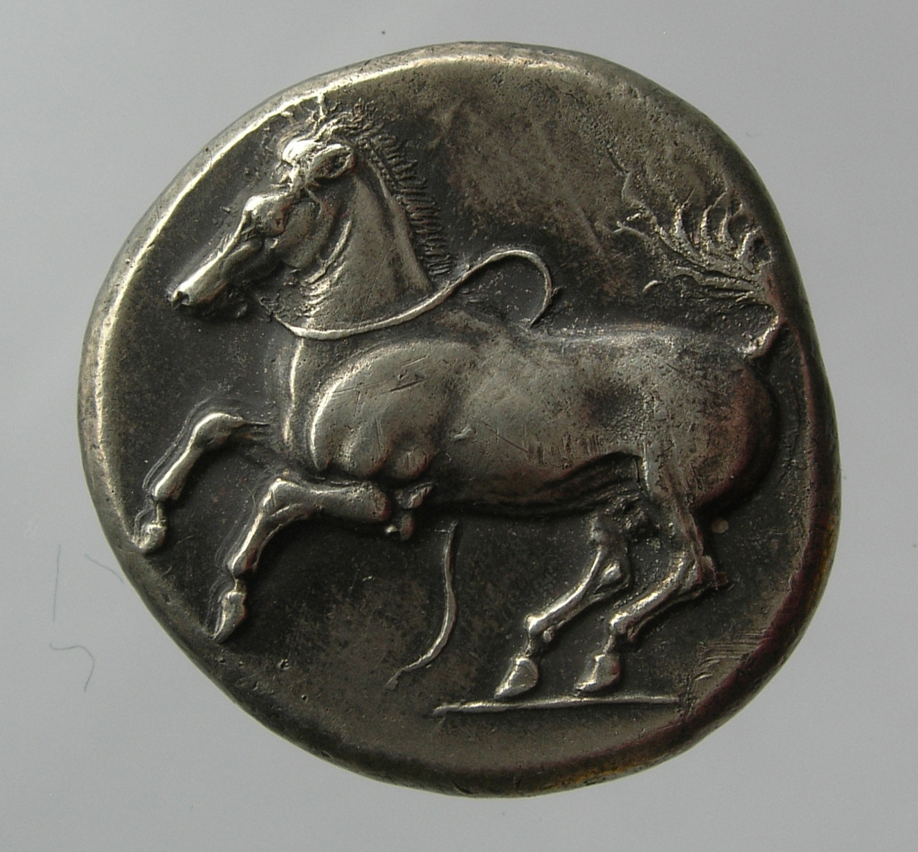 CN Type cn.maroneia.1_ed.143, аверс, cn-coins