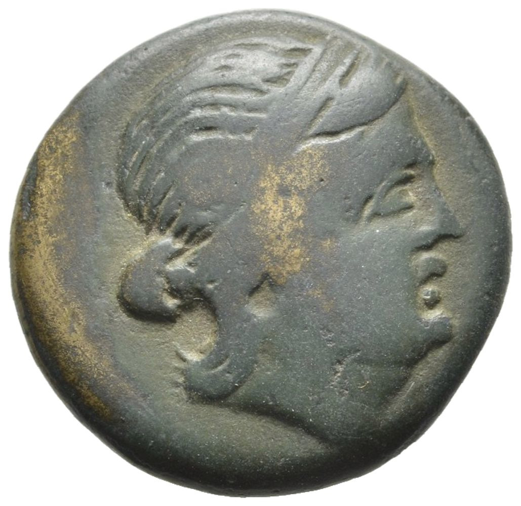 CN Type cn.mesembria.1_ed.134, аверс, cn-coins