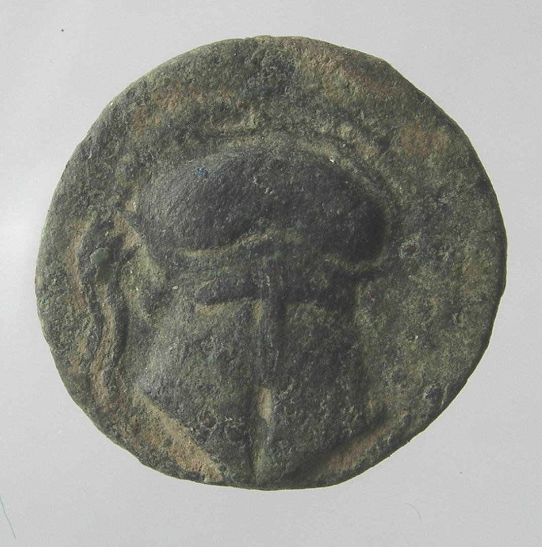 CN Type cn.mesembria.1_ed.135, аверс, cn-coins