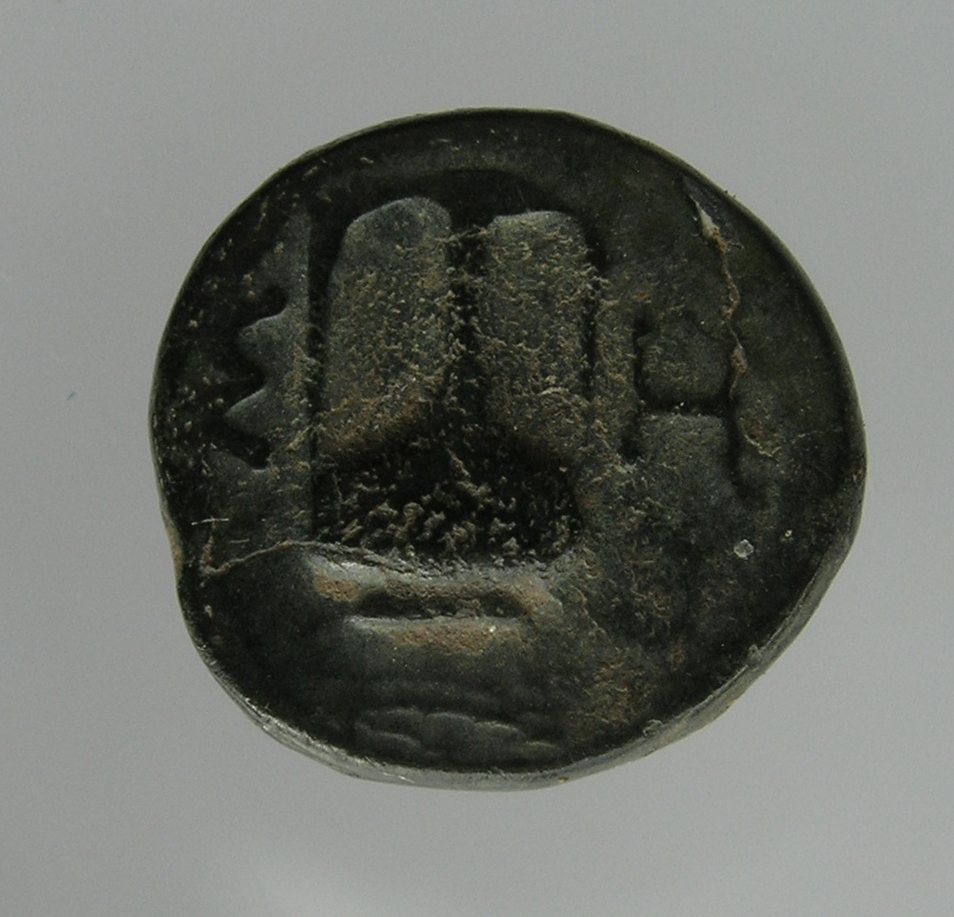 CN Type cn.sestus.1_ed.22, реверс, cn-coins