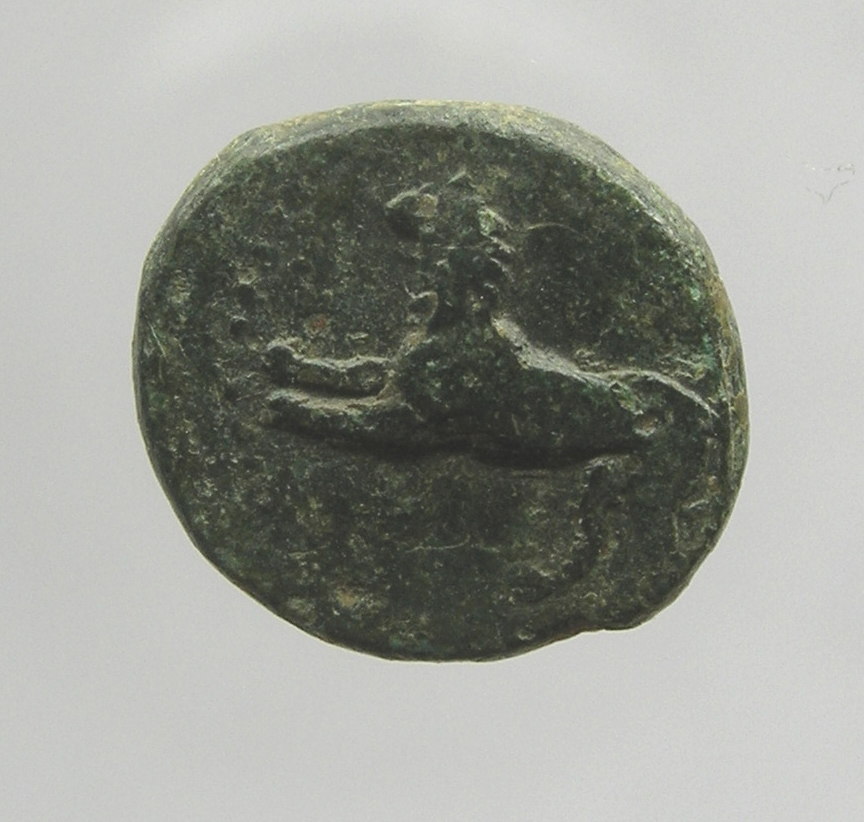 obverse CN Type cn.cardia.2_ed.27