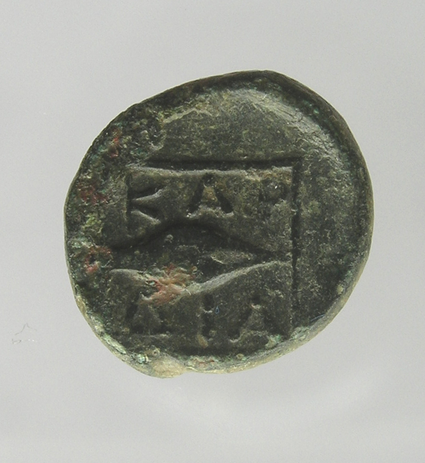 reverse CN Type cn.cardia.2_ed.27