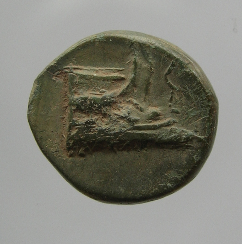 CN Type cn.elaeus.1_ed.19, аверс, cn-coins