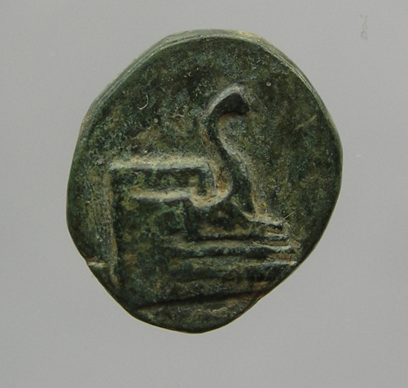 obverse CN Type cn.elaeus.1_ed.19