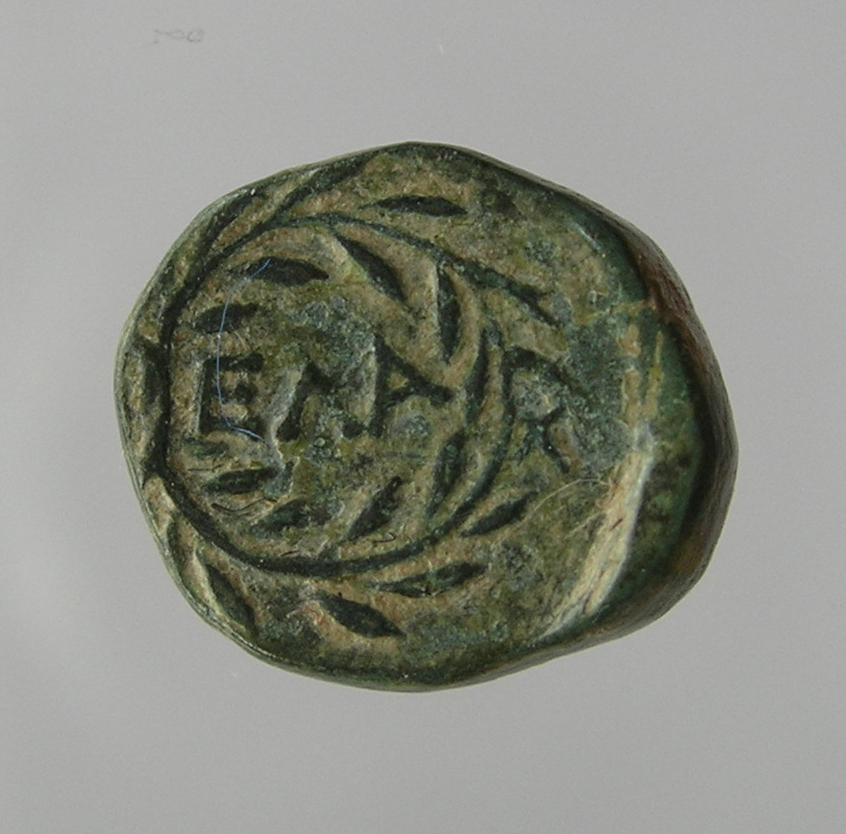 reverse CN Type cn.elaeus.1_ed.19