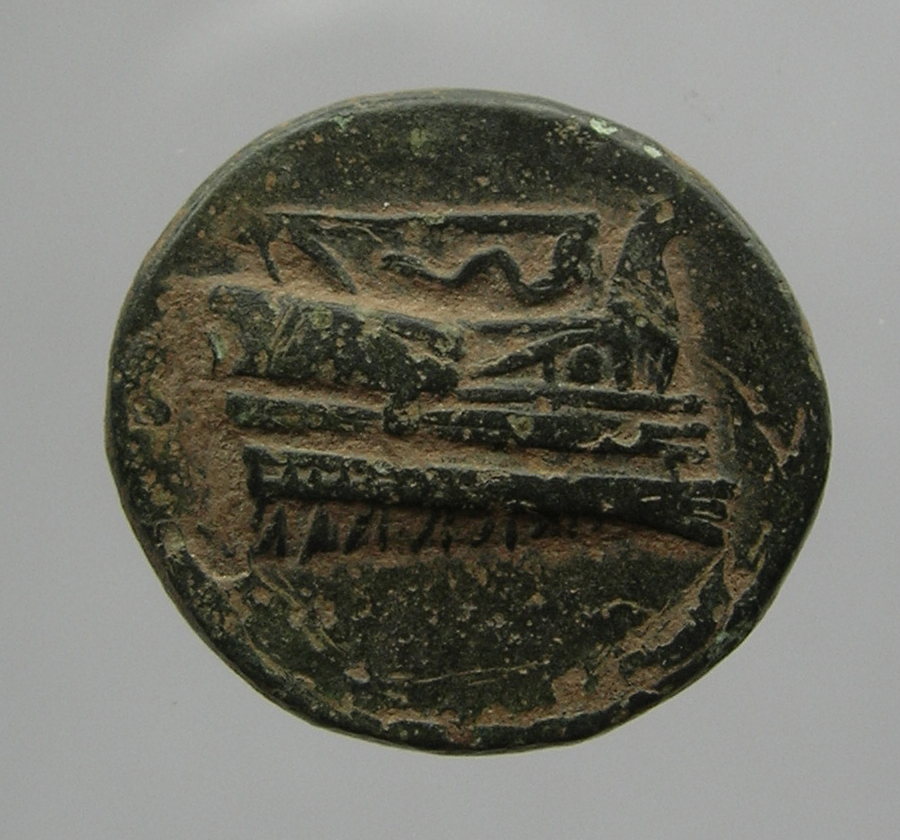 obverse CN Type cn.elaeus.1_ed.5