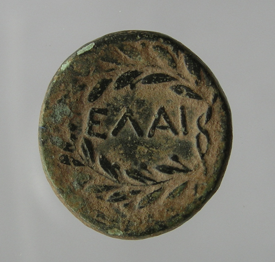 reverse CN Type cn.elaeus.1_ed.5
