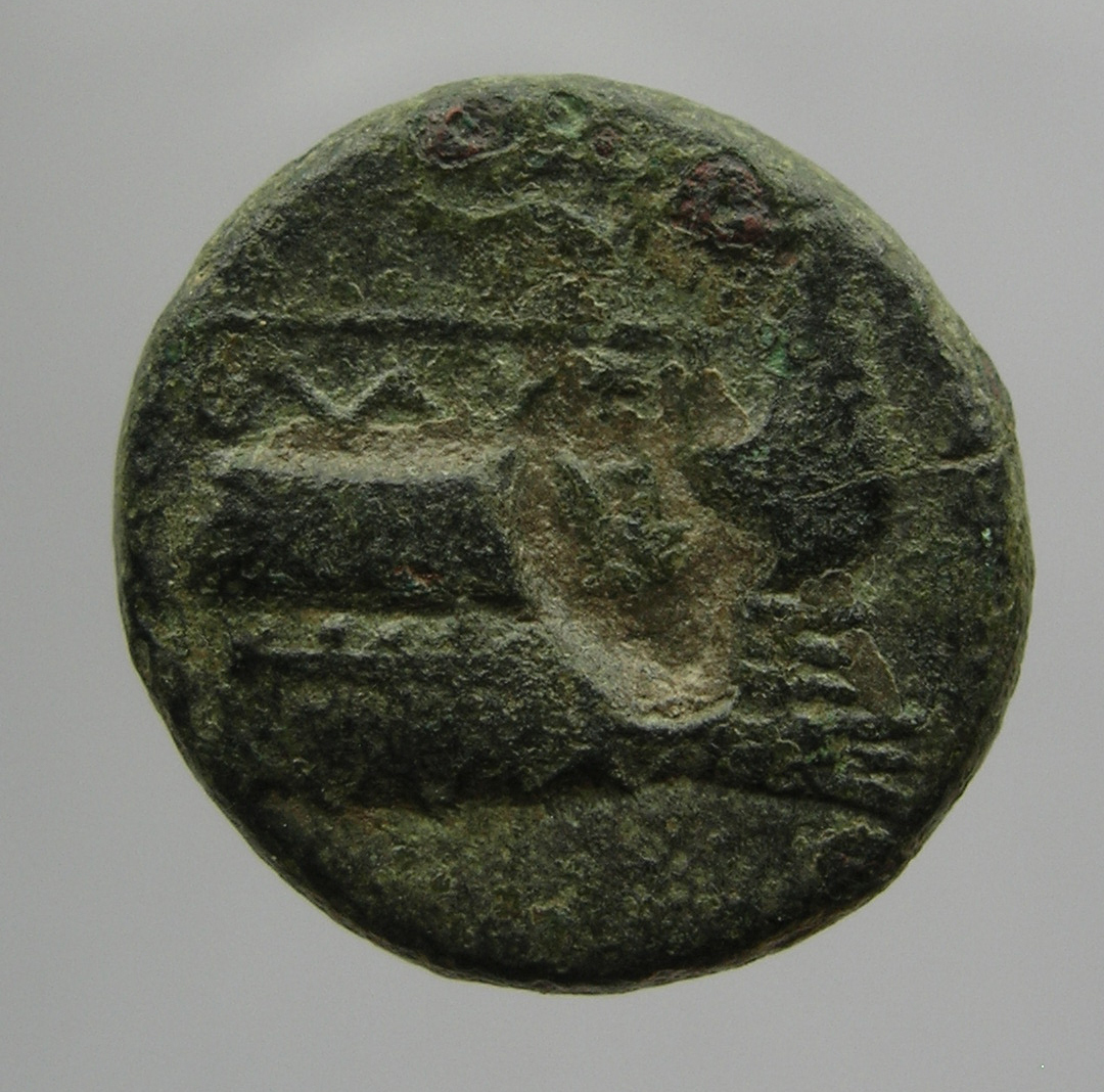 obverse CN Type cn.elaeus.1_ed.6