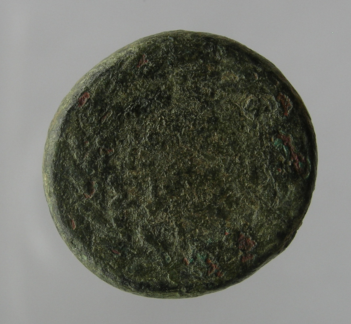 reverse CN Type cn.elaeus.1_ed.6