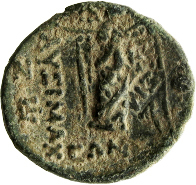 CN Type 12559, реверс, cn-coins