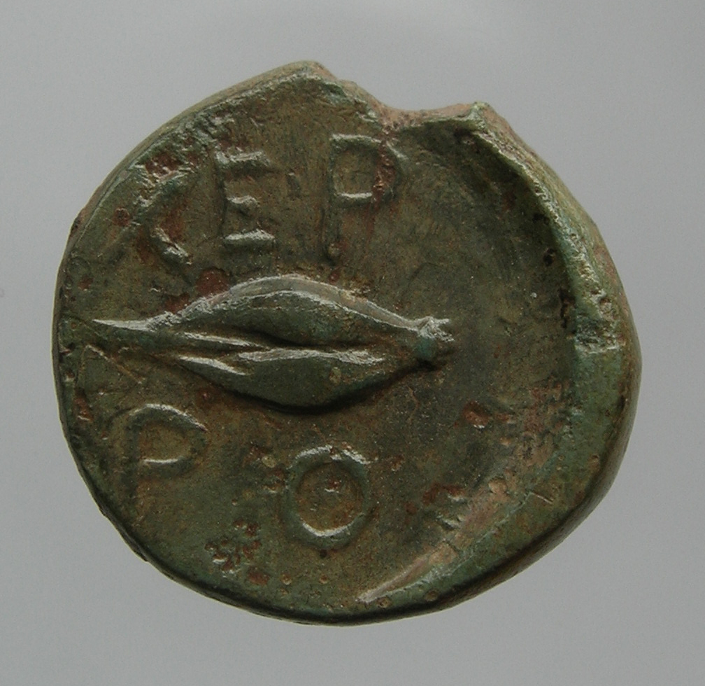 CN Type cn.chersonesus_thrace.1_ed.122, реверс, cn-coins