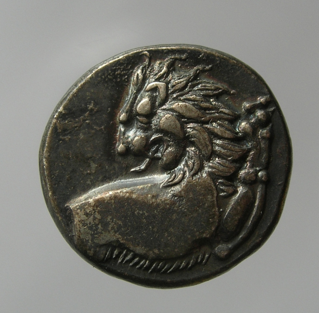 CN Type cn.chersonesus_thrace.1_ed.24, аверс, cn-coins