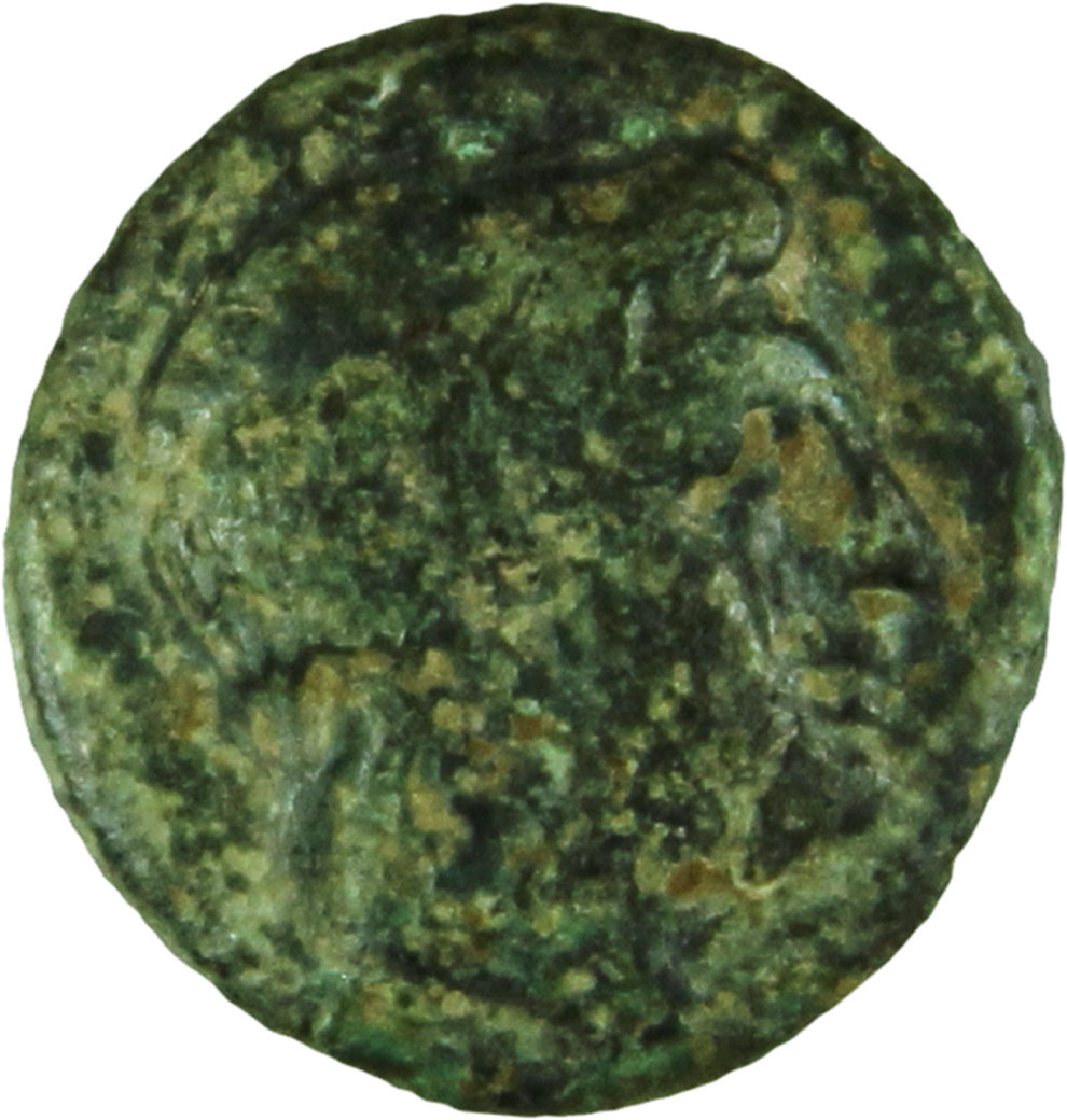 CN Type cn.agathopolis.1_ed.7, аверс, cn-coins