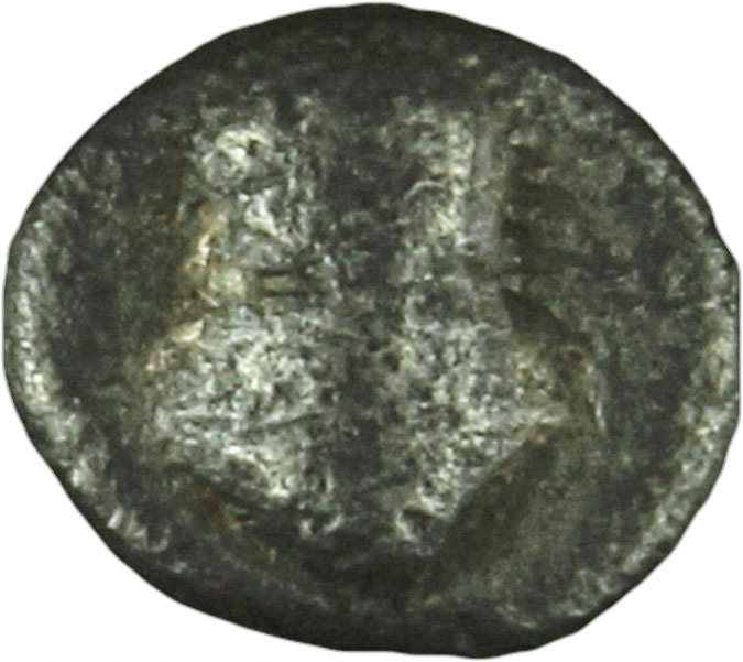 CN Type cn.mesembria.1_ed.2, аверс, cn-coins