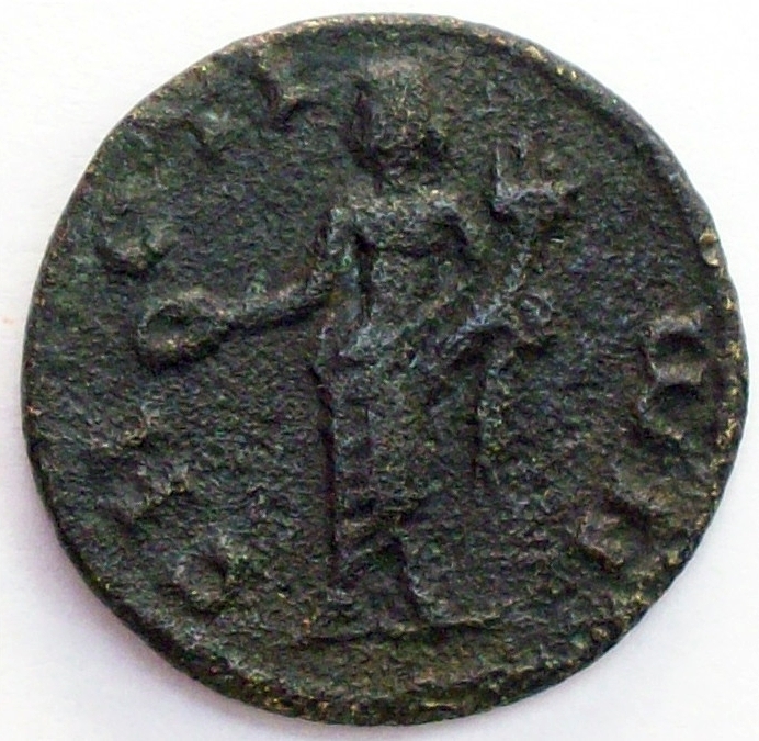 реверс CN Type cn.sestus.1_ed.88