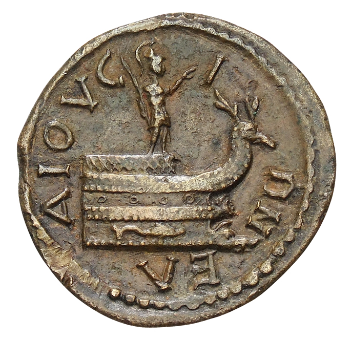 reverse CN Type cn.elaeus.1_ed.23
