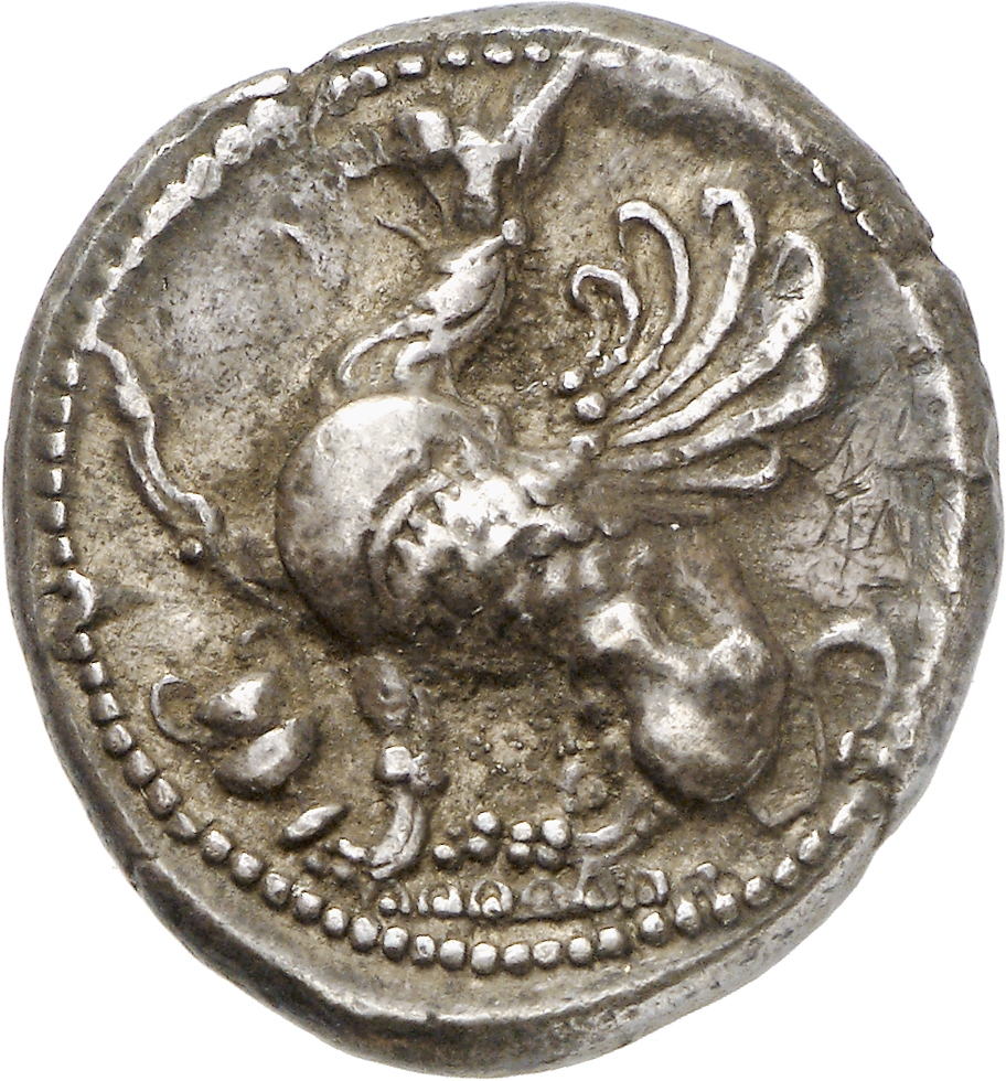 CN Type cn.abdera_thrace.1_ed.103, аверс, cn-coins