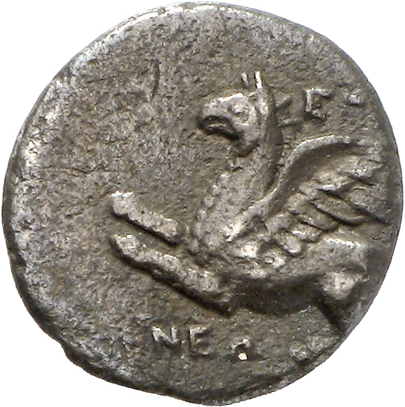 CN Type cn.abdera_thrace.1_ed.212, аверс, cn-coins