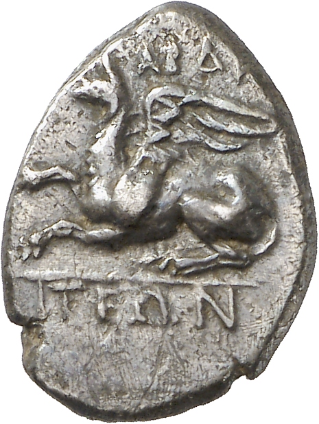 CN Type cn.abdera_thrace.1_ed.247, аверс, cn-coins