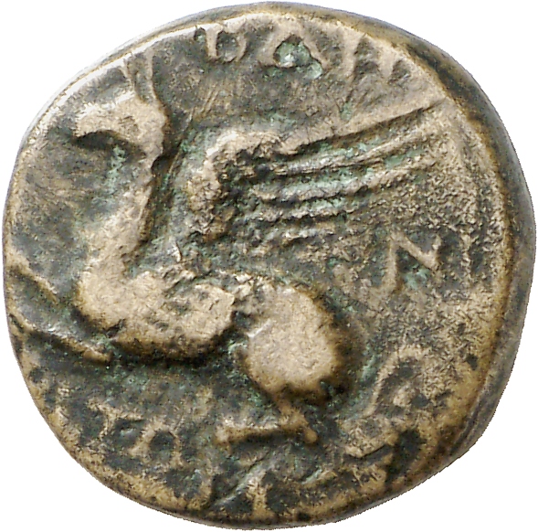CN Type cn.abdera_thrace.1_ed.318, аверс, cn-coins
