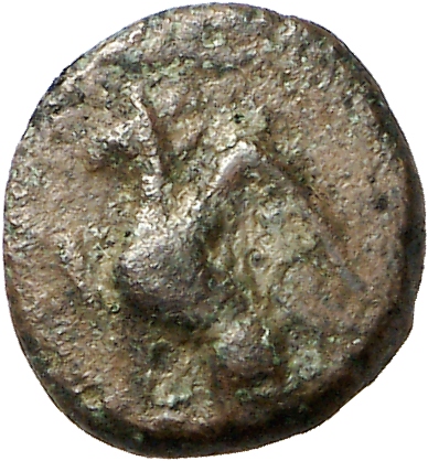 CN Type cn.abdera_thrace.1_ed.256, аверс, cn-coins