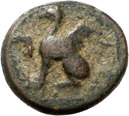 CN Type cn.abdera_thrace.1_ed.256, аверс, cn-coins