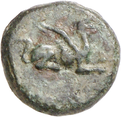 CN Type cn.abdera_thrace.1_ed.214, аверс, cn-coins