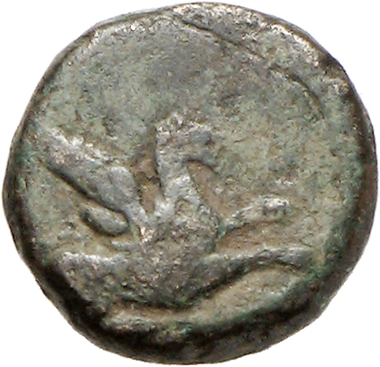 CN Type cn.abdera_thrace.1_ed.214, аверс, cn-coins