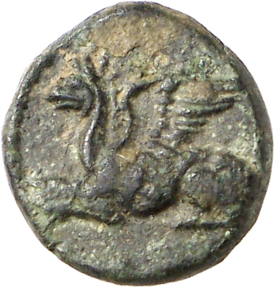 obverse CN Type cn.abdera_thrace.1_ed.205