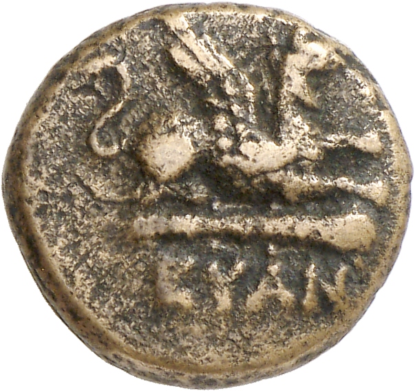 CN Type cn.abdera_thrace.1_ed.293, аверс, cn-coins