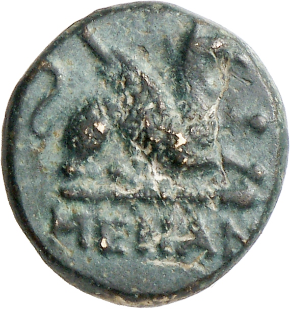 CN Type cn.abdera_thrace.1_ed.297, аверс, cn-coins