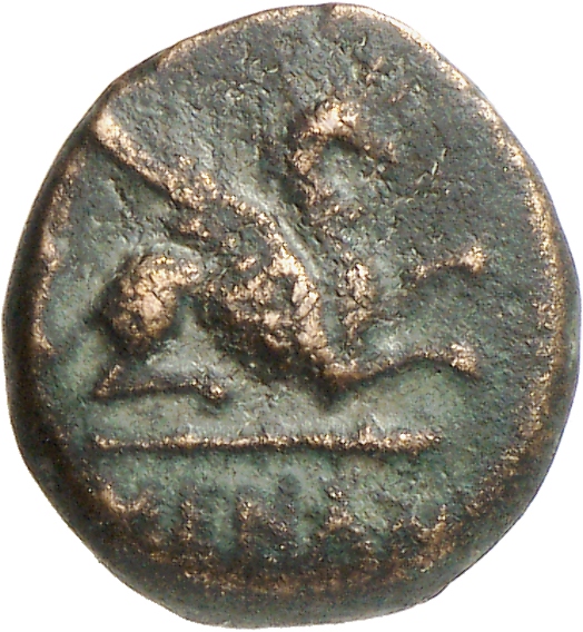 CN Type cn.abdera_thrace.1_ed.297, аверс, cn-coins
