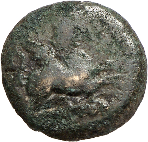 CN Type cn.abdera_thrace.1_ed.284, аверс, cn-coins