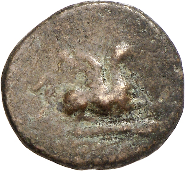 CN Type cn.abdera_thrace.1_ed.284, аверс, cn-coins