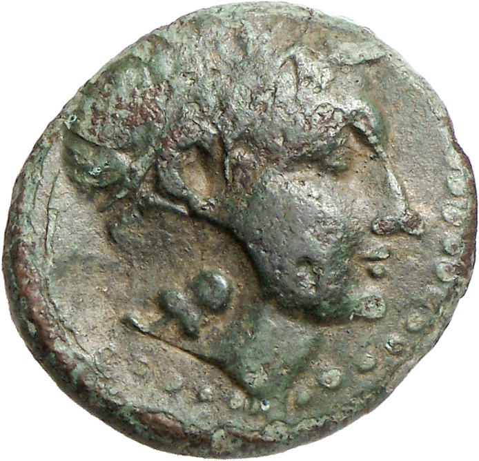 CN Type cn.abdera_thrace.1_ed.330, аверс, cn-coins