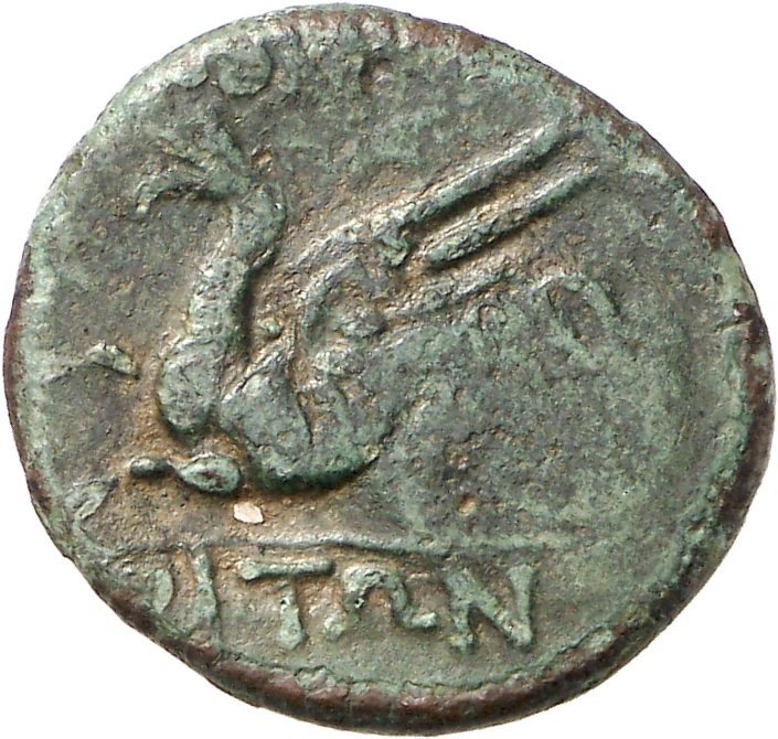 CN Type cn.abdera_thrace.1_ed.330, реверс, cn-coins
