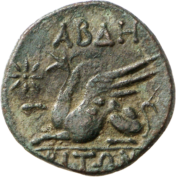 CN Type cn.abdera_thrace.1_ed.330, реверс, cn-coins