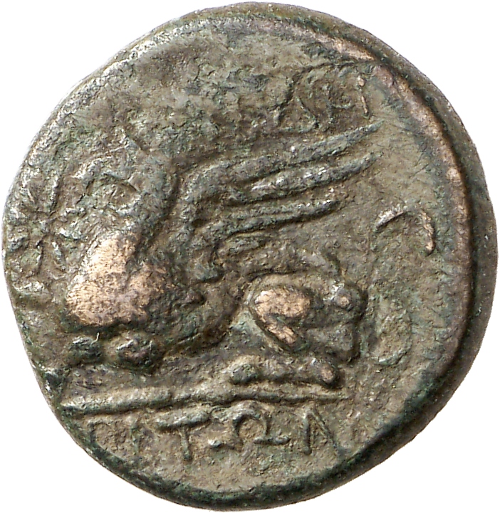 CN Type cn.abdera_thrace.1_ed.330, реверс, cn-coins