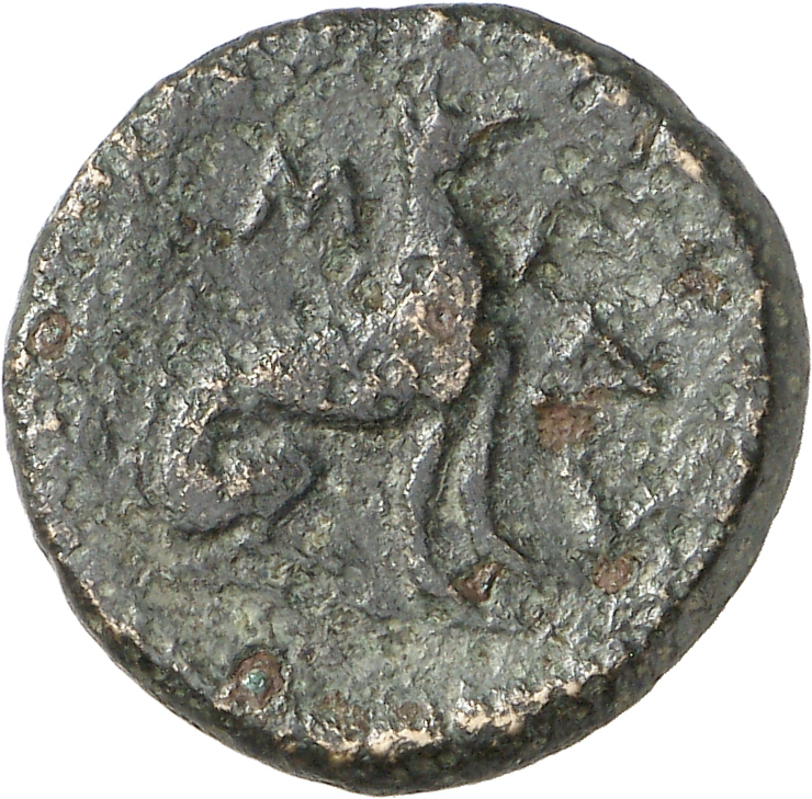 реверс CN Type cn.madytus.1_ed.3