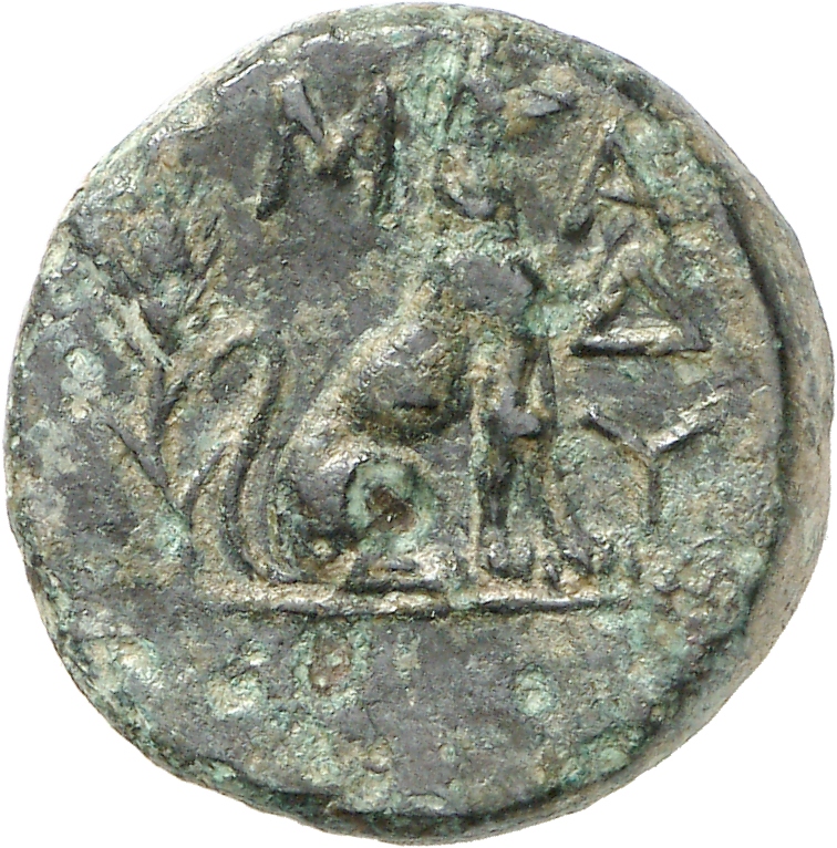 реверс CN Type cn.madytus.1_ed.5