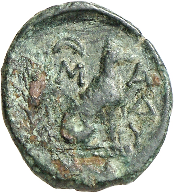 реверс CN Type cn.madytus.1_ed.12