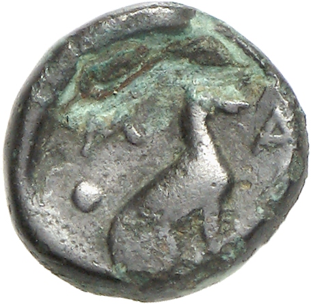 реверс CN Type cn.madytus.1_ed.14