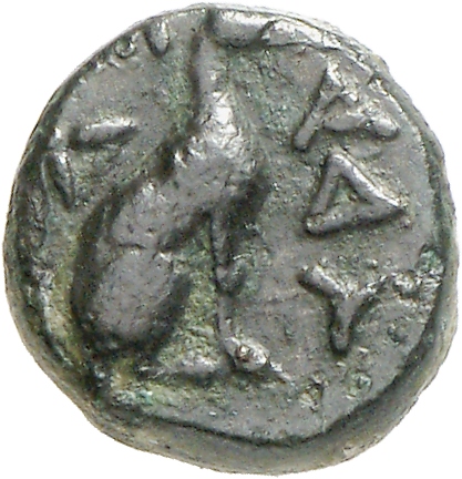 реверс CN Type cn.madytus.1_ed.15