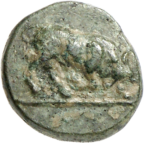 CN Type cn.madytus.1_ed.13, аверс, cn-coins