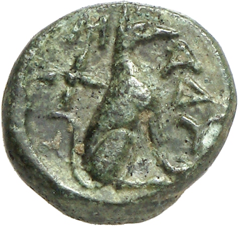 CN Type cn.madytus.1_ed.13, реверс, cn-coins