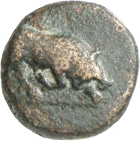 аверс CN Type cn.madytus.1_ed.13