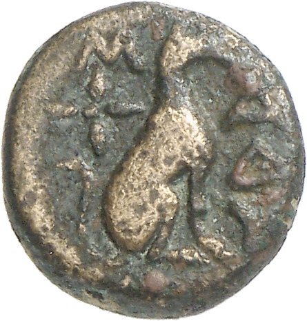 реверс CN Type cn.madytus.1_ed.13